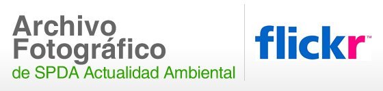 archivo_imagen_flickr