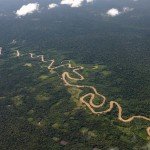 Debido a los importantes valores de conservación que alberga (los mismos que han sido confirmados por los estudios de instituciones como ProNaturaleza, Field Museum de Chicago y el Centro de Datos para la Conservación de la UNALM) esta área fue declarada Zona Reservada mediante Resolución Ministerial Nº 0283-2006-AG. Bajo esta figura, el Estado otorga un estatus transitorio a la zona como área natural protegida, mientras se completan las investigaciones que determinarán su extensión final y categoría.