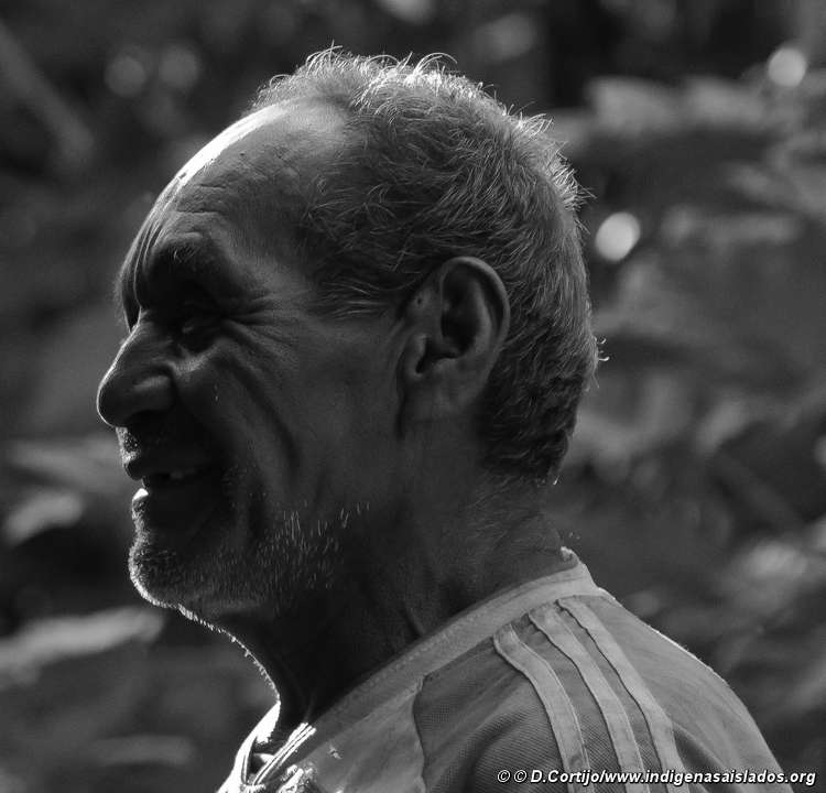 per-mash-dc-03_screen