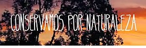 ADEMÁS…