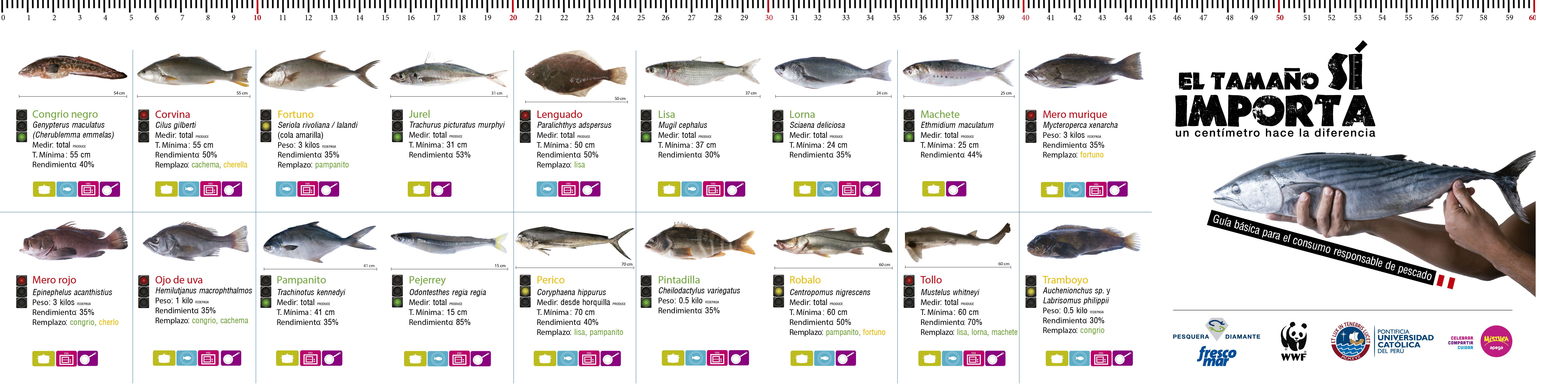 GUIA PESCADOS PDF REFERENCIA