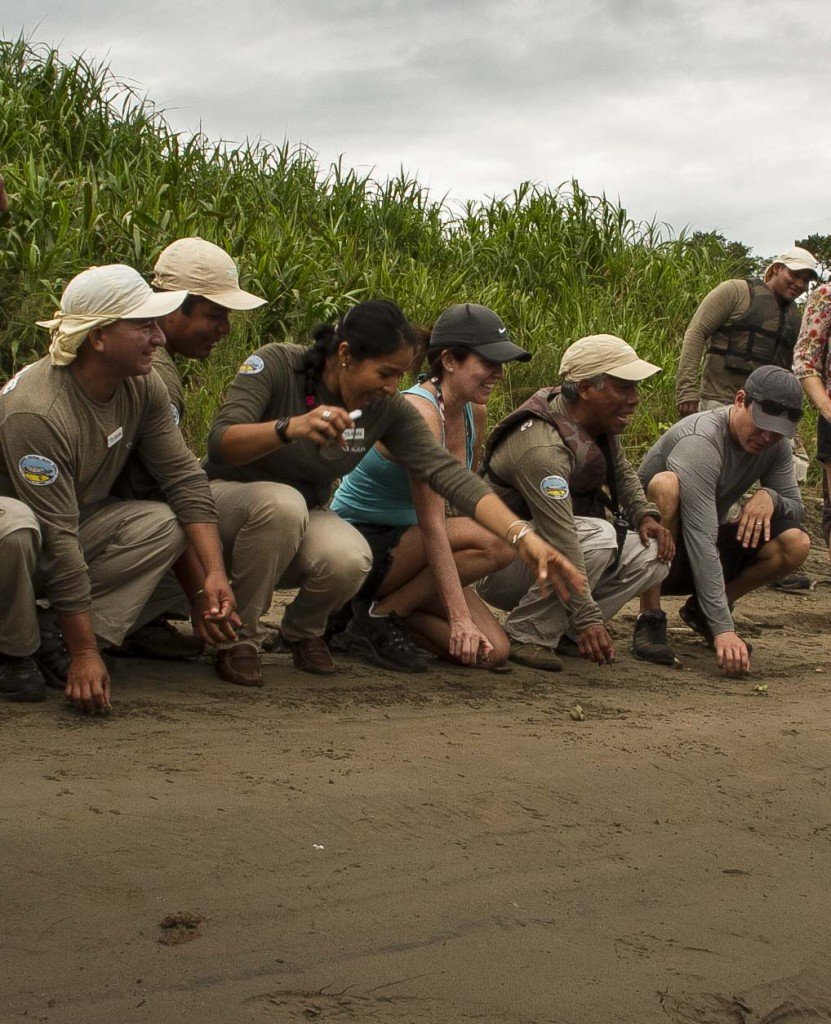 Taricaya_liberacion_spda