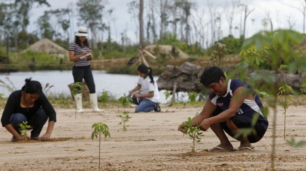 mineros_reforestacion_mineria_elcomercio_madre de dios
