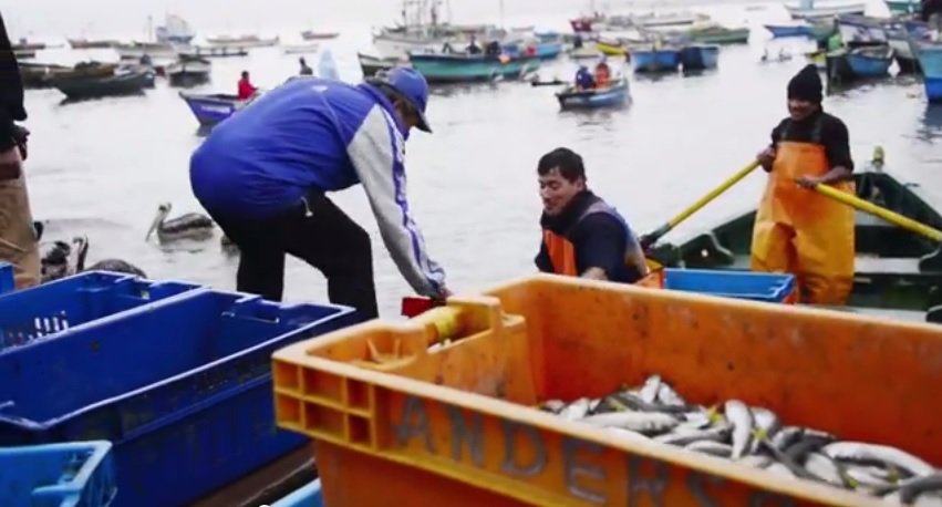 pesca ancón_spda
