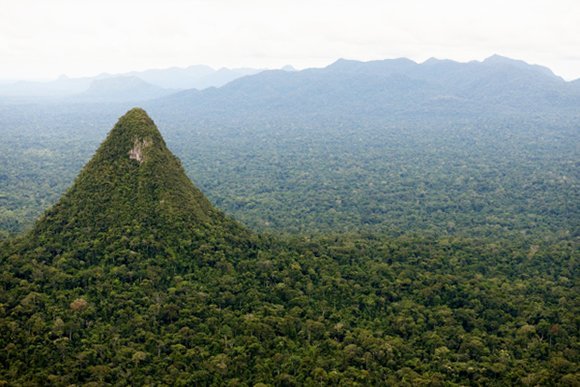 serfor_bosque_sierra_divisor_actualidad_ambiental_spda_serfor