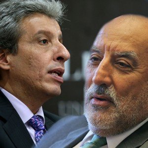 3 mayorga y pulgar_andina