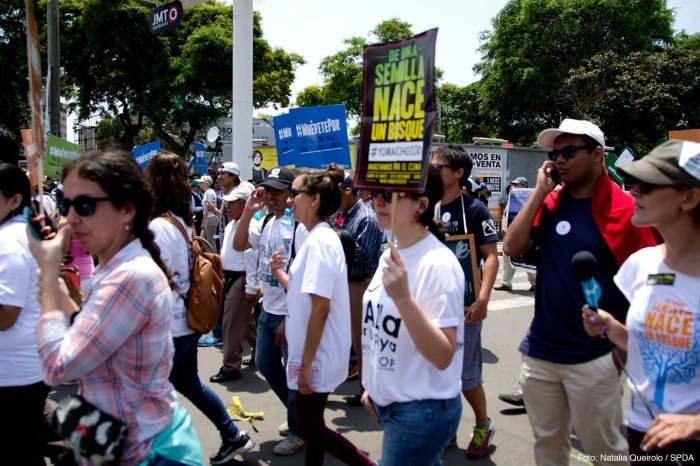 15808513637_fee2788baf_o