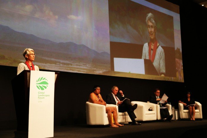 global_landscapes_forum_cop20_spda_actualidad_ambiental04