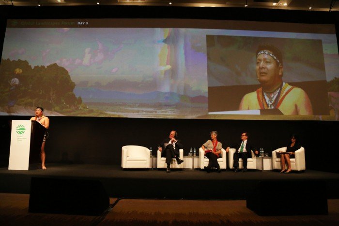 global_landscapes_forum_cop20_spda_actualidad_ambiental05