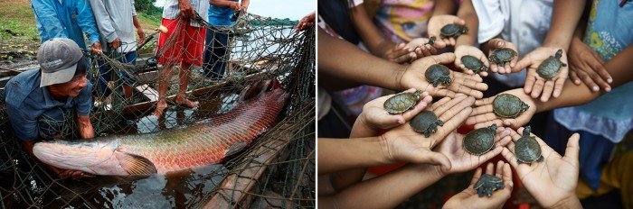 pacaya_samiria_loreto_actualidad_ambiental