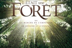 documental sobre bosques
