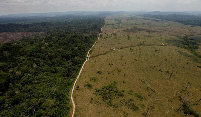 Deforestación Loreto