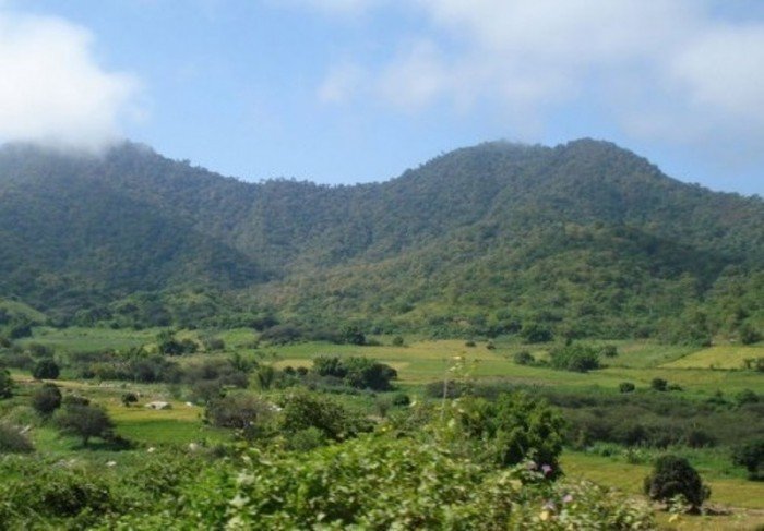 Cerros-de-Amotape_Inforegión