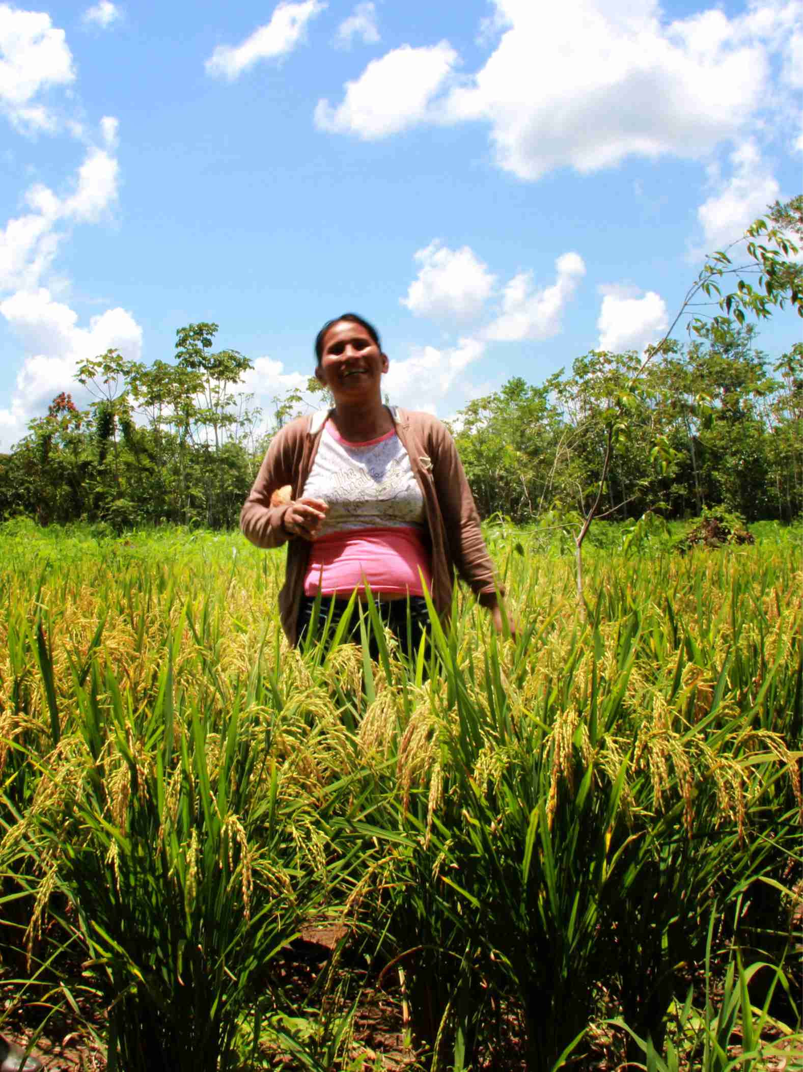 Llucelma_Loreto_SPDA