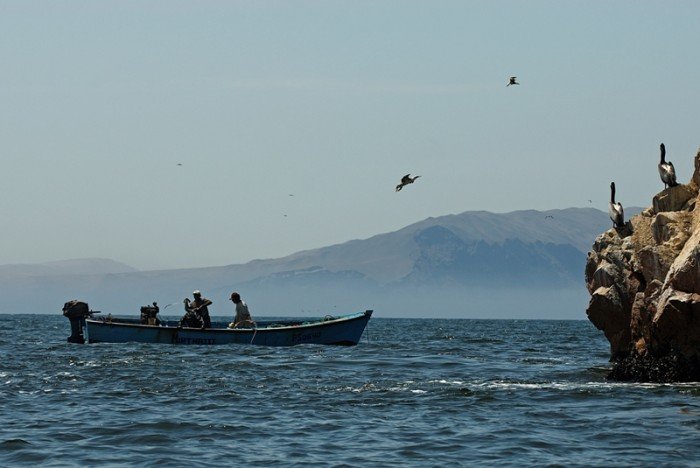 Reserva nacional punta guaneras_Sernanp2