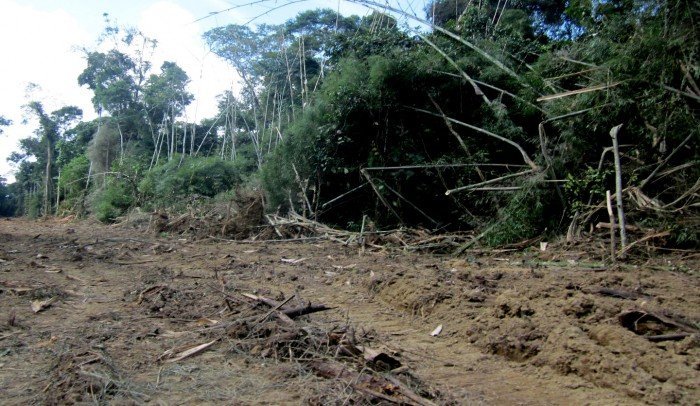 trocha ilegal_sernanp