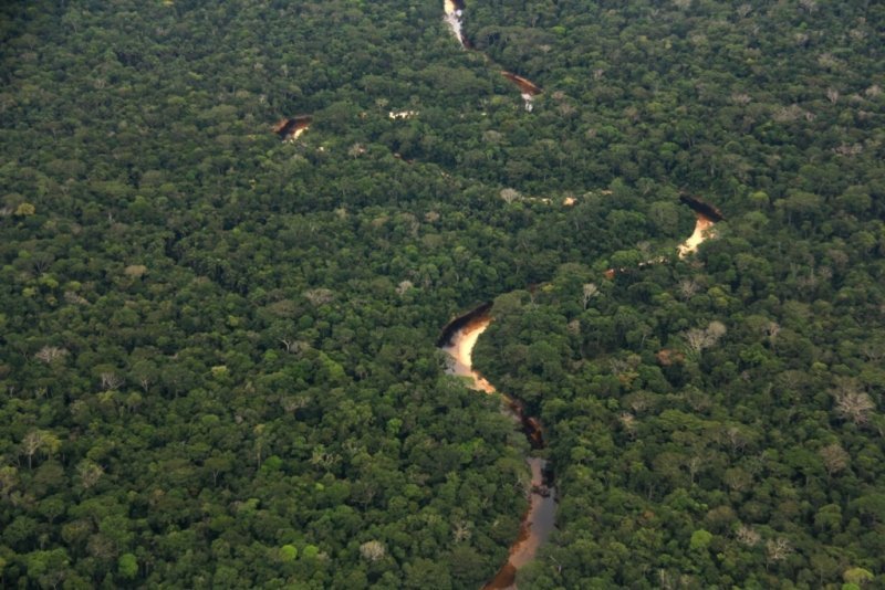 Bosque Amazonico Sur Occidental, Llanura amazónica 3