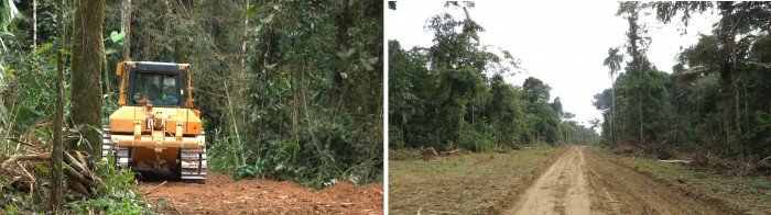 carretera_actualidad_ambiental_fenamad_nueva_eden_puerto_shipetiari_madre_dios_7