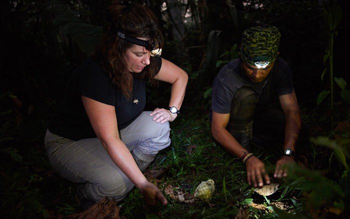 investigadores en madre de dios_thomas müller