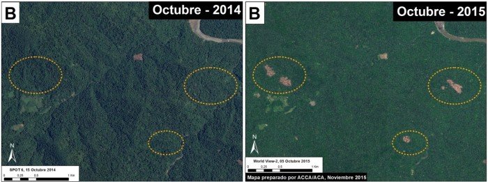 Bahuaja_Sonene_MAAP_20b_v4_m_es-e1447696947510-1500x560