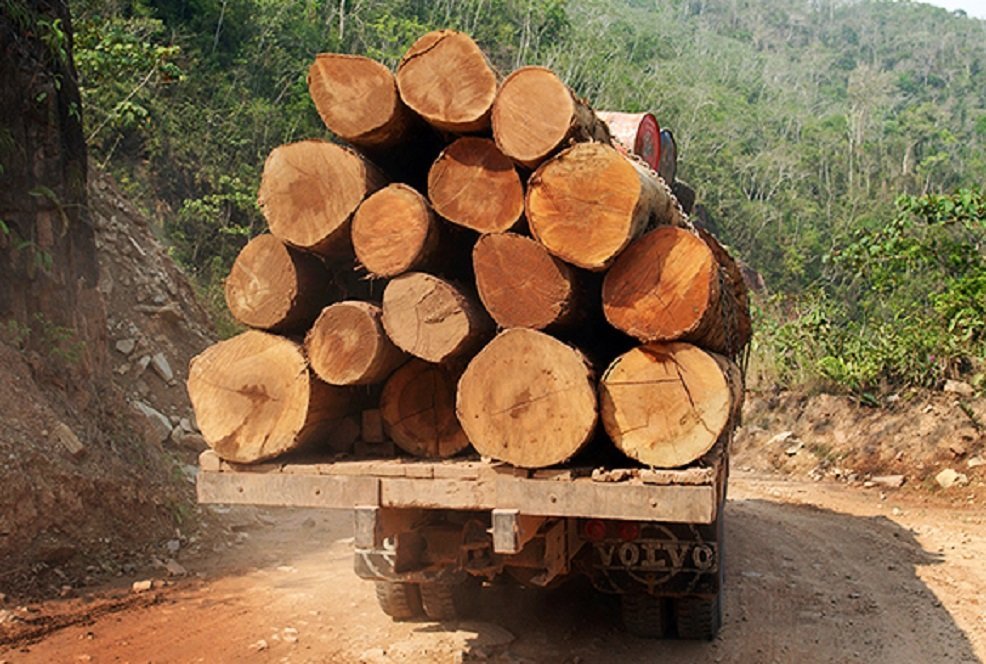 [#Beginning of Shooting Data Section] Nikon D1X Focal Length: 19mm Optimize Image: Color Mode: Mode I (sRGB) Noise Reduction: 2005/09/08 09:21:50.5 Exposure Mode: Aperture Priority White Balance: Auto Tone Comp: Normal JPEG (8-bit) Fine Metering Mode: Multi-Pattern AF Mode: AF-S Hue Adjustment: 0° Image Size: Large (3008 x 1960) 1/320 sec - F/6.7 Flash Sync Mode: Not Attached Saturation: Color Exposure Comp.: 0 EV Sharpening: None Lens: 17-35mm F/2.8 D Sensitivity: ISO 125 Image Comment: [#End of Shooting Data Section]