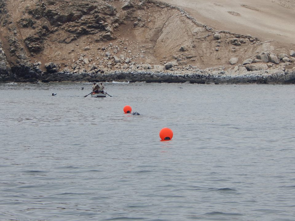 demarcación_sernanp_1