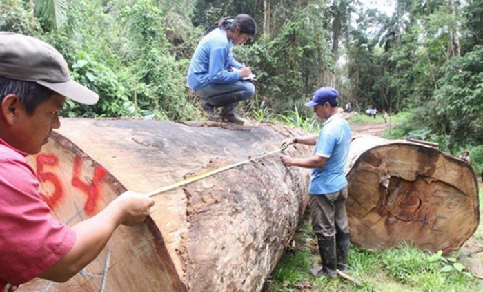 fiscalizacion_ambiental_osinfor_andina_actualidad_ambiental