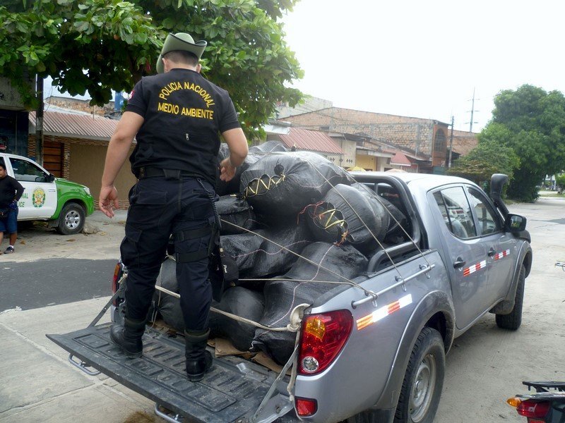 intervención Pacaya Samiria