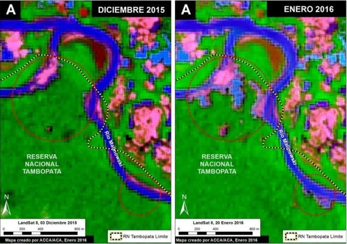 MAAP_Tambopata_actualidad_ambiental_2