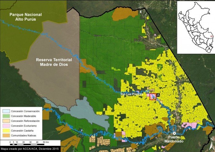 madre_de_dios_las_piedras_actualidad_ambiental_maap_1