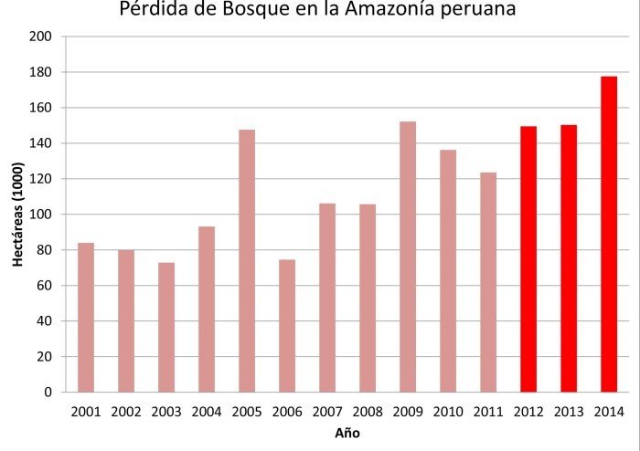 perdida de bosques
