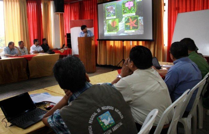 Macroregional oriente - SPDA