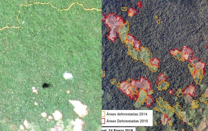 deforestación - maap