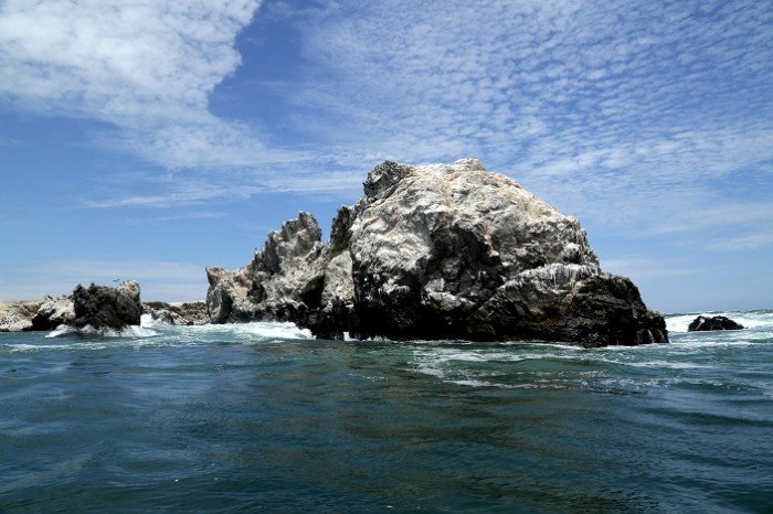 Pacífico Tropical - otto alegre SPDA