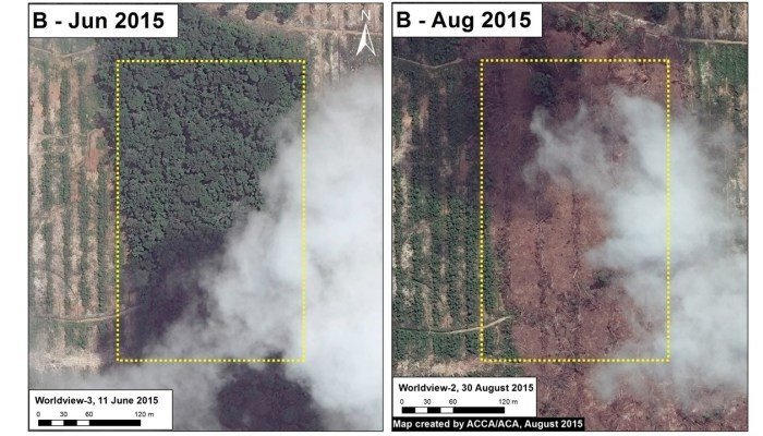 MAAP13_Tam_13e_b_m_v3