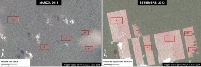 Deforestación Tamshiyacu