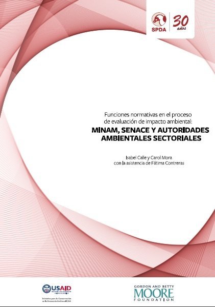 Funciones normativas en el proceso de evaluación de impacto ambiental