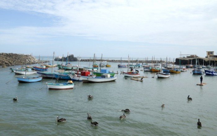 mar pacífico tropical - SPDA