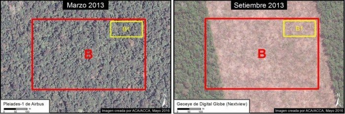 tamshiyacu_areaB-1500x499