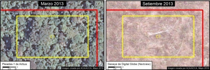 tamshiyacu_zoomC1-1-1500x503