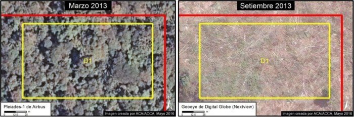 tamshiyacu_zoomD1-1500x500