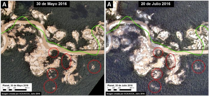 Tambopata_rates_b1_m_v2