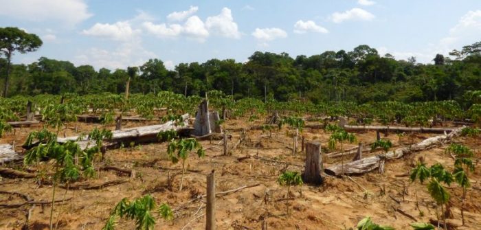 e.-point-11-source-minam-detection-by-terra-i-112015-driver-papaya_25051222004_o-1500x718