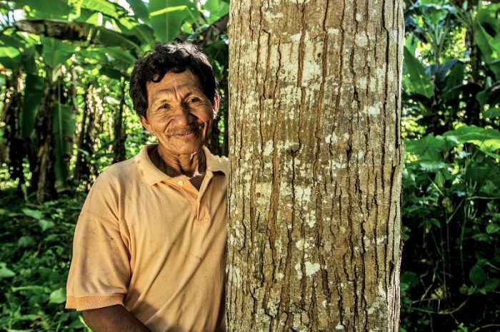 investigación forestal - CIFOR