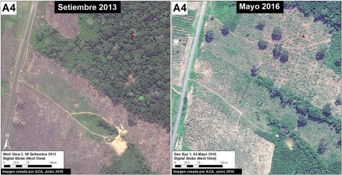 papaya_analisis_a5_m_v1_es - copia