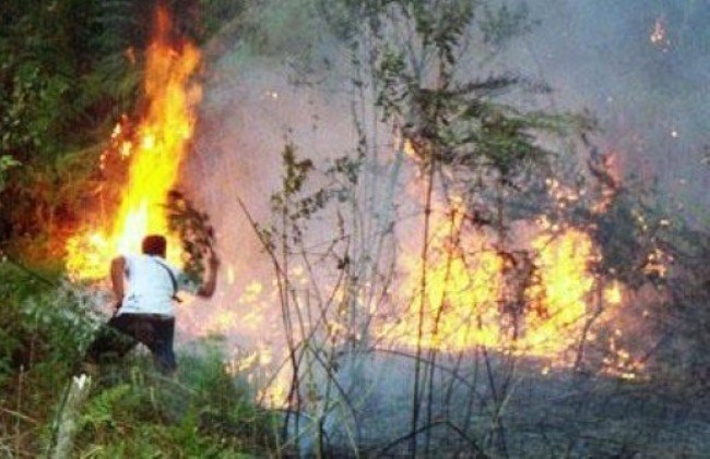 foto-diario-pro-y-contra