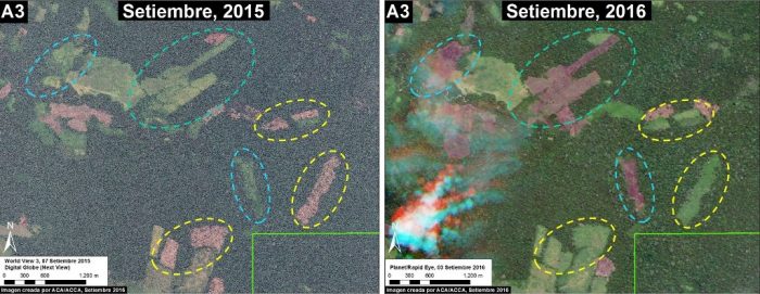 el-sira-deforestacion1-mapp