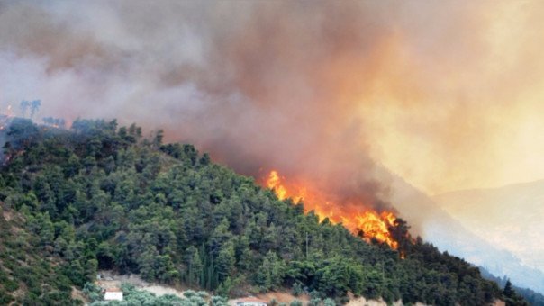incendio-forestal-cajamarca-rpp