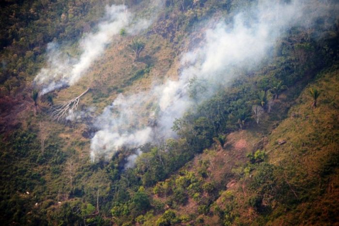 incendio-rio-tambo-8