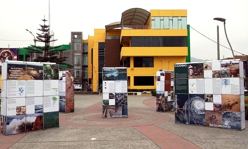 exposicion-los-olivos